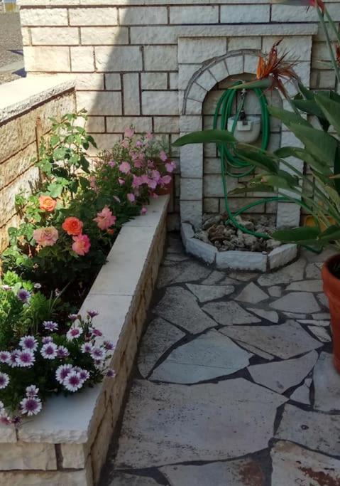 פרבזה Ionian Blue Studio מראה חיצוני תמונה