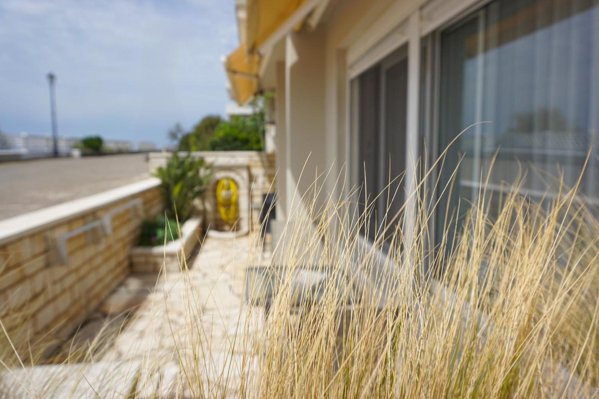 פרבזה Ionian Blue Studio מראה חיצוני תמונה